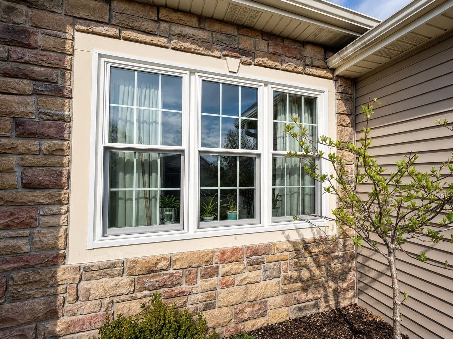 Three white double-hung windows set into cream-colored exterior wall with stone brick base, flanked by young shrubs and plants