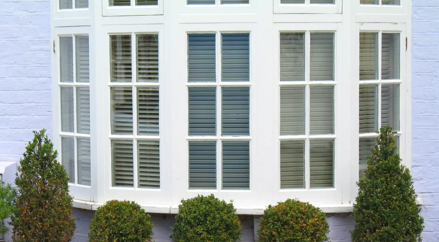 Modern white building facade with multiple windows featuring horizontal blinds, flanked by rounded evergreen shrubs