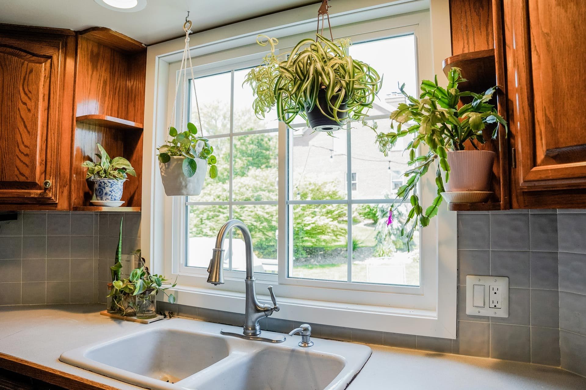 Slider Windows and Kitchen sink with dark faucet below a large window, flanked by hanging potted plants and wooden cabinets with green plants on shelves - Provia
