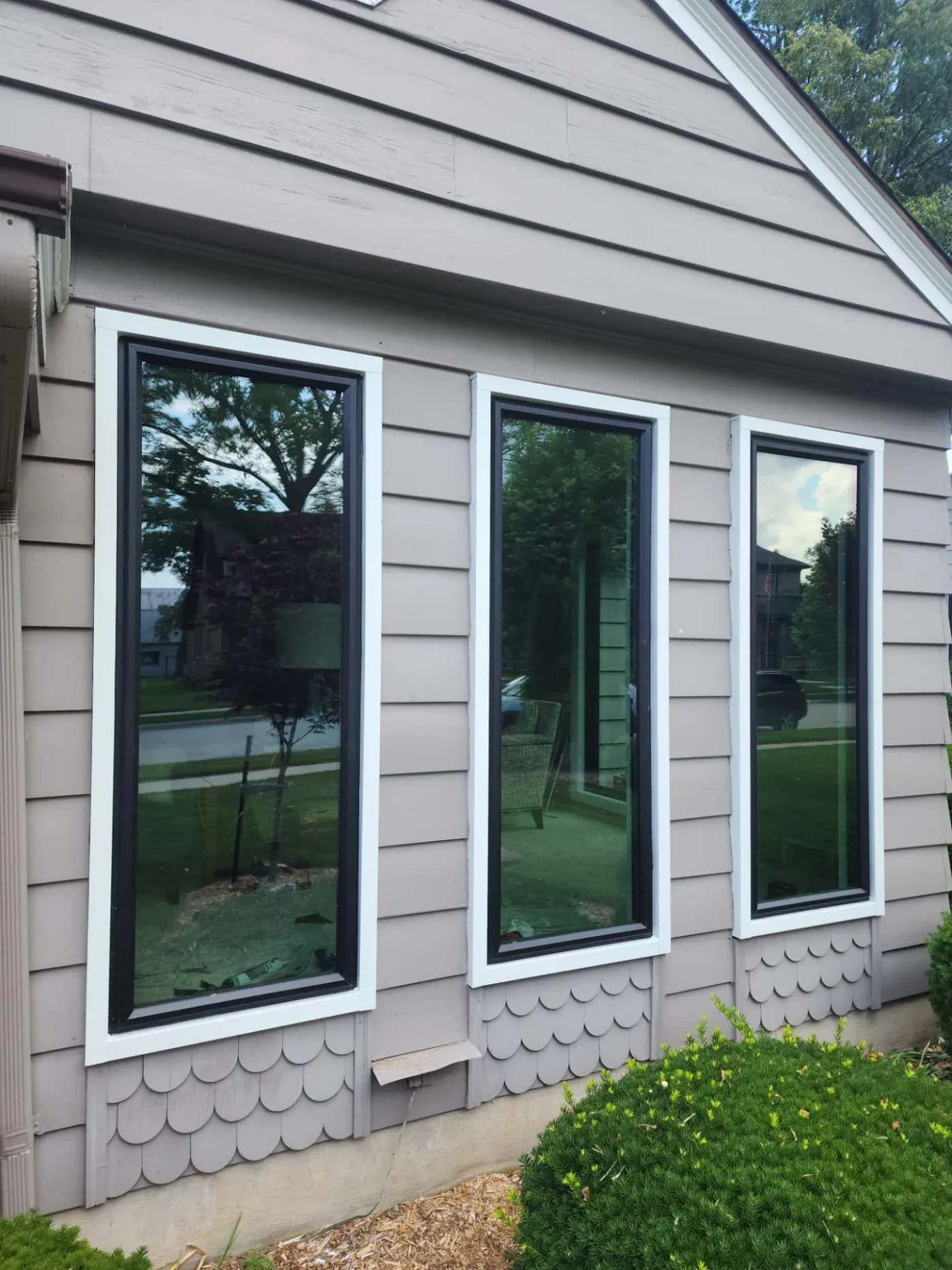 Three black-framed windows with white trim installed on a light gray horizontal siding house exterior, reflecting the surrounding lawn and trees