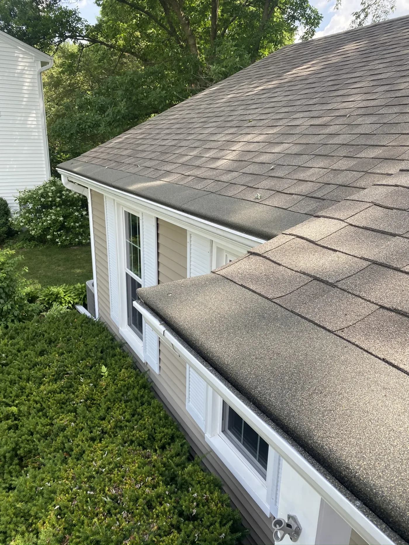 Gray asphalt shingles covering roof sections of white house with windows and gutters, surrounded by green trees and shrubs