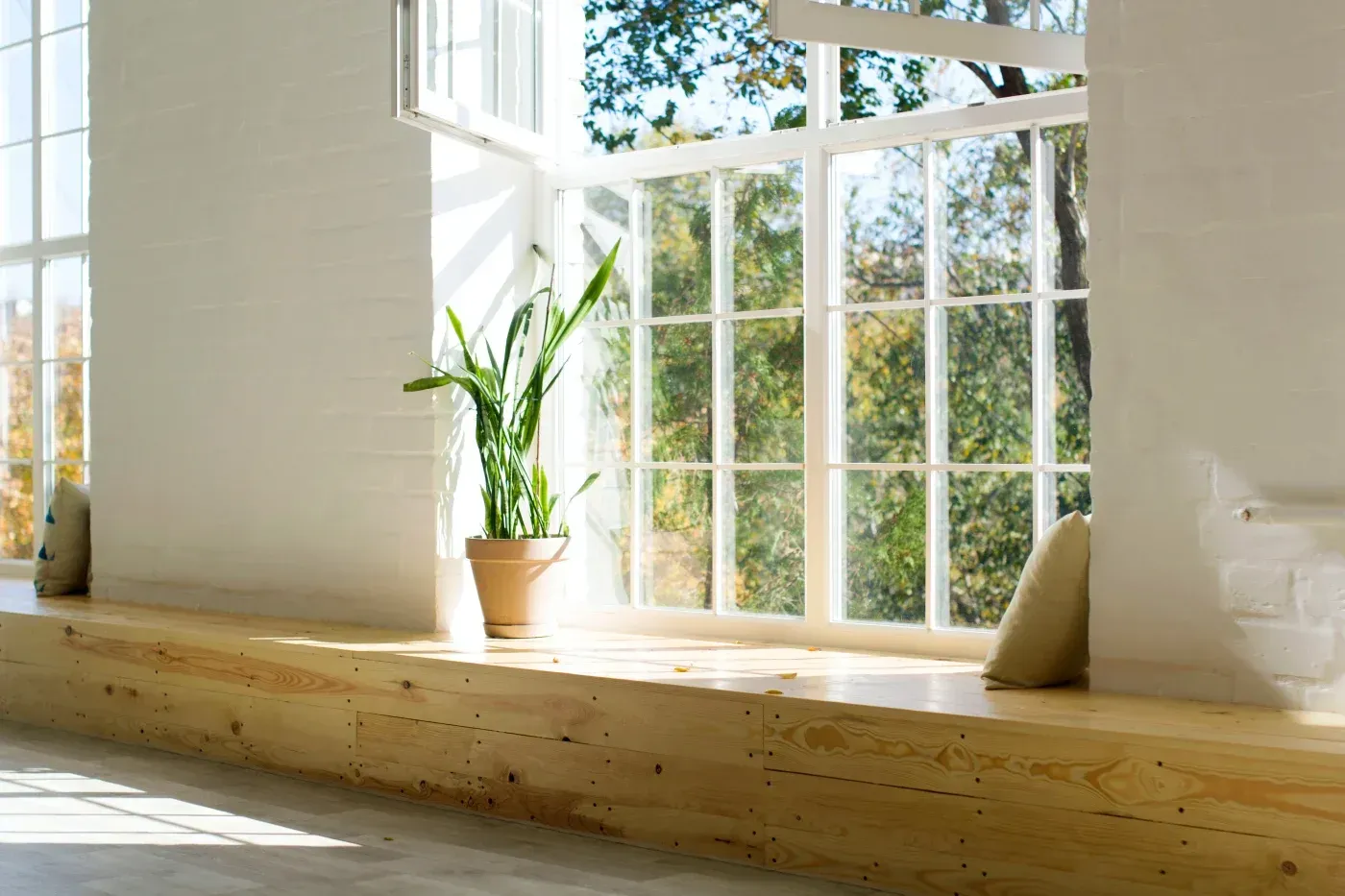 Bright sunlit window seat with potted green plant and cushions overlooking a tree-filled landscape through multi-pane windows